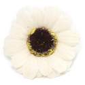 Kwiat mydlany główka - gerbera kremowa 50 sztuk