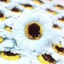 Kwiat mydlany główka - gerbera niebieska 50 sztuk