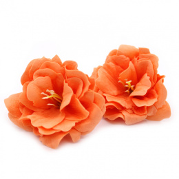 Kwiat mydlany główka - piwonia japońska pomarańczowa 50 sztuk