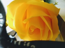 Róża kwiat mydlany - piękny prezent