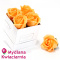 Kwiaty Mydlane Flower Box 4YOU - brzoskwiniowe róże