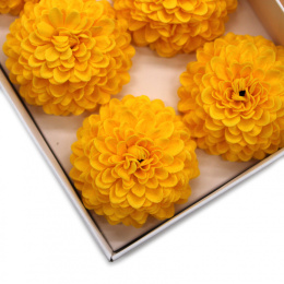 Kwiat mydlany główka - dalia żółta 28 sztuk