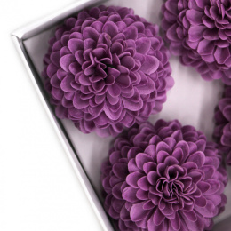 Kwiat mydlany główka - dalia fioletowa 28 sztuk