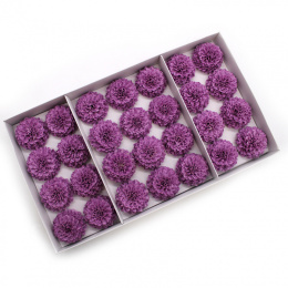 Kwiat mydlany główka - dalia fioletowa 28 sztuk