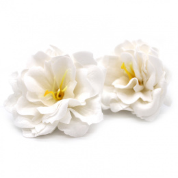 Kwiat mydlany główka - piwonia japońska biała 50 sztuk