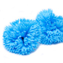 Kwiat mydlany główka - goździk niebieski 50 sztuk