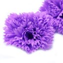 Kwiat mydlany główka - goździk fioletowy 50 sztuk