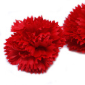 Kwiat mydlany główka - goździk czerwony 50 sztuk