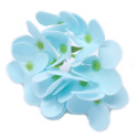 Kwiat mydlany główka - hortensja błękitna 36 sztuk