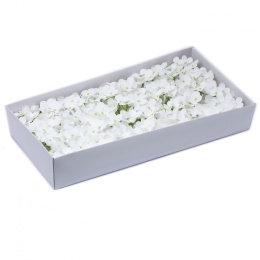 Kwiat mydlany główka - hortensja biała 36 sztuk