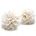 Kwiat mydlany główka - dalia biała 28 sztuk