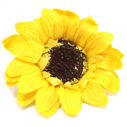 Kwiat mydlany główka - słonecznik 50 sztuk