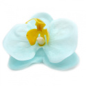 Kwiat mydlany główka - orchidea niebieska 25 sztuk