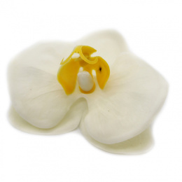 Kwiat mydlany główka - orchidea waniliowa 25 sztuk