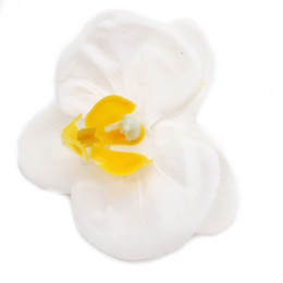 Kwiat mydlany główka - orchidea biała 25 sztuk