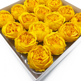 Kwiat mydlany główka - piwonia żółta 16 sztuk