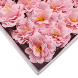 Kwiat mydlany główka - piwonia japońska różowa 50 sztuk