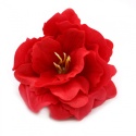 Kwiat mydlany główka - piwonia japońska czerwona 50 sztuk
