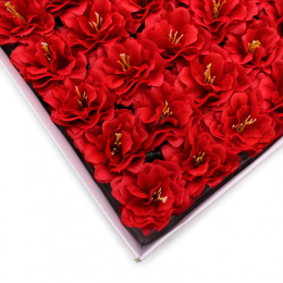 Kwiat mydlany główka - piwonia japońska czerwona 50 sztuk