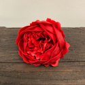 Kwiat mydlany główka - piwonia czerwona 16 sztuk