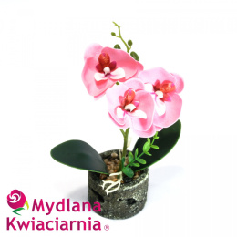 Kwiaty Mydlane - orchidea w doniczce
