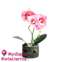 Kwiaty Mydlane - orchidea w doniczce