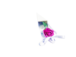 Róża mydlana pojedyncza w białym rożku - fioletowy róż