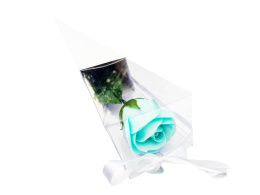 Róża mydlana pojedyncza w białym rożku - błękitna